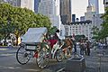 New York. Central Park. Carriage (4249565692)