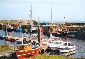 The harbour at Helmsdale - geograph.org.uk - 115307