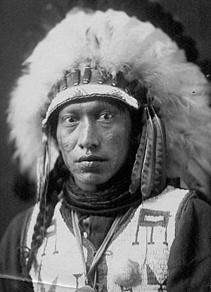 William Sitting Bull 1904.jpg