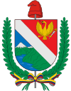 Coat of arms of Department of Tolima