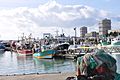 Fishing boats in Le Havre, bateaux de pêche