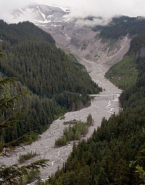Nisqually River 0533s