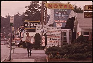 ROW OF MOTELS AT LAKE GEORGE VILLAGE, NEW YORK, AND PLETHORA OF SIGNS CREATES A NON-RUSTIC SCENE IN THE ADIRONDACK... - NARA - 554550