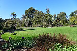 Royal Botanic Gardens Melbourne Southern Lawn 2017