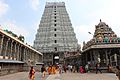 Thiruvannamalai Annamalaiyar Temple Gopuram and Mandapam View