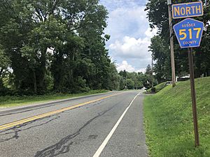 2018-07-27 13 00 53 View north along Sussex County Route 517 (Main Street) just north of Bettino Drive and Brooks Flat Road in Ogdensburg, Sussex County, New Jersey