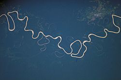City of Carauari, the Juruá River and its tributaries, taken from the International Space Station.jpg