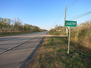 Juliff sign on FM 521 looking north