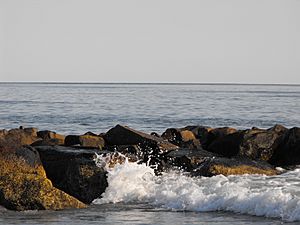 Narragansett Bay surf on the rocks