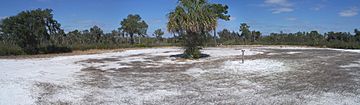 Paynes Creek SP fort site pano02