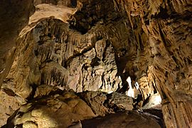 Shasta Caverns3