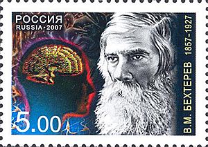 Stamp behterev