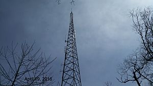 Wm4t amateur radio tower