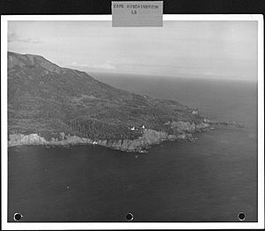 Cape Hinchinbrook, Alaska, 1948 - NARA - 298197