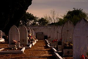 Cementerio o lindas flores en extraños floreros