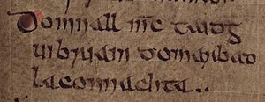 Domnall mac Taidc (Bodleian Library MS Rawlinson B 503, folio 34r)