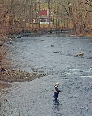 Fly-fishing on Moodna Creek on opening day of trout season, Mountainville, NY