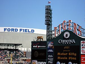 Ford-Field-from-Comerica-Park