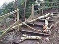 GT Storm Eunice fells dead birch across fence