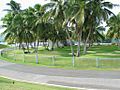Golf Course at Club Nautico de Ponce, in Ponce, PR (IMG 3706)