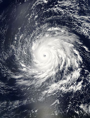 Hurricane Igor at 1640z on September 13, 2010.jpg