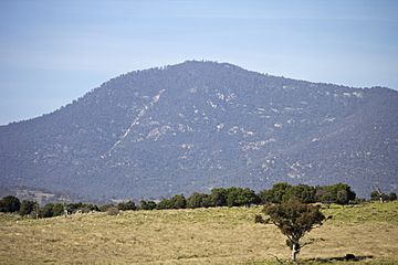 Mount Tennent viewed from Point Hut Road in Paddys River, ACT.jpg