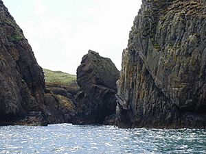South end of Ramsey Island - geograph.org.uk - 525502