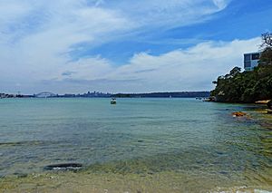 Sydney Harbour, from Dumaresq Road, Rose Bay, New South Wales (2011-01-05) 02