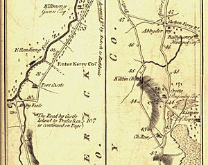 Detail from plate 105 of Taylor and Skinner's Maps Of The Roads Of Ireland