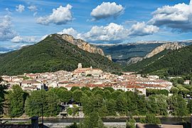 A general view of Digne-les-Bains in 2014