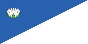 Flag of Brocēni