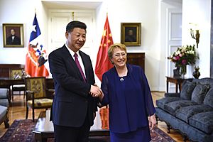 Jefa de Estado se reúne con Presidente Xi Jinping (30815724740)