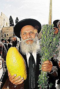 THE HOLIDAY OF SUCCOT IN JERUSALEM