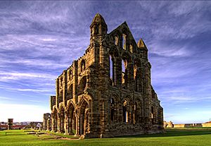 Whitby Abbey image
