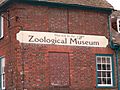 Zoological Museum sign