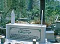 قبر المجاهد عياش الحاج حسين الجاسم في مدينة جبلة السورية 2