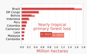 2021 Top ten countries for tropical primary forest loss - World Resources Institute