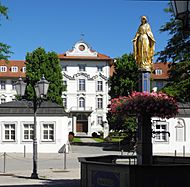 Bad Wurzach - Schloss mit Stadtbrunnen