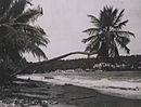 Beach, Scarborough, Tobago, 1947