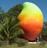 Big mango.jpg