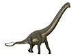 Dinheirosaurus lourinhanensis