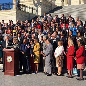 House Democrats demand commonsense gun safety measures 22220814