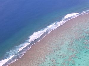 Reef outside Aititaki, Cook Islands