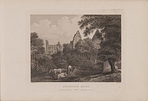 Scotia Depicta - Dryburgh Abbey -Plate-