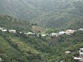 View from lookout in Orocovis, Puerto Rico