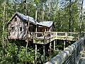 Cashie River Treehouses Windsor, NC, USA