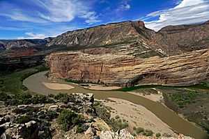 Confluence of the Green and Yampa Rivers (17396238518)
