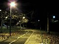 Cycle path on The Roundway Tottenham London England