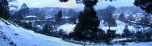 Dunedin Botanic Gardens winter 2011 panorama