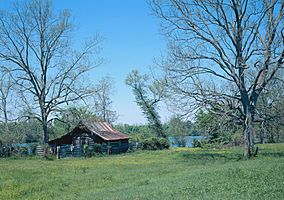 Log house in the Cane River Creole National Historical Park.jpg